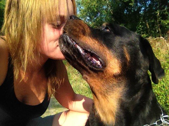 Rottweiler Nica *Himmelhund* billede 40