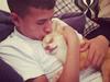Chihuahua Fluffy Cute As A Teddy Bear /zako/