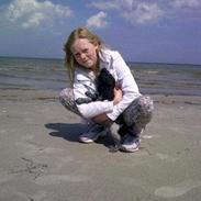 Cocker spaniel Louis