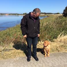 Dogue de bordeaux Karla