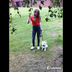 Blanding af racer Dina <3 -Prinsesse hunden-