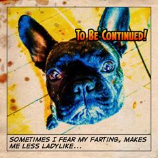 Fransk bulldog *Babette*