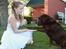 Labrador retriever Louie - Louie til min konfirmation
