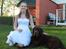 Labrador retriever Louie - Louie til min konfirmation