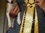 Norsk lundehund Ulfrigga Lundes Trude
