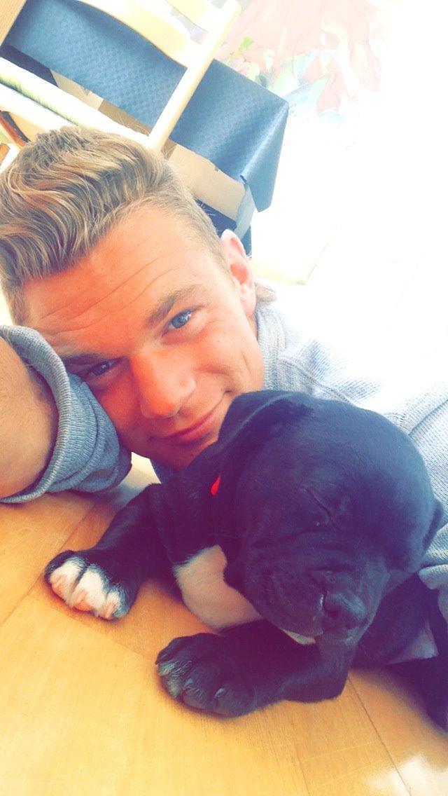 Staffordshire bull terrier Zoey billede 8