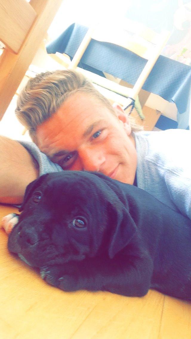 Staffordshire bull terrier Zoey billede 9