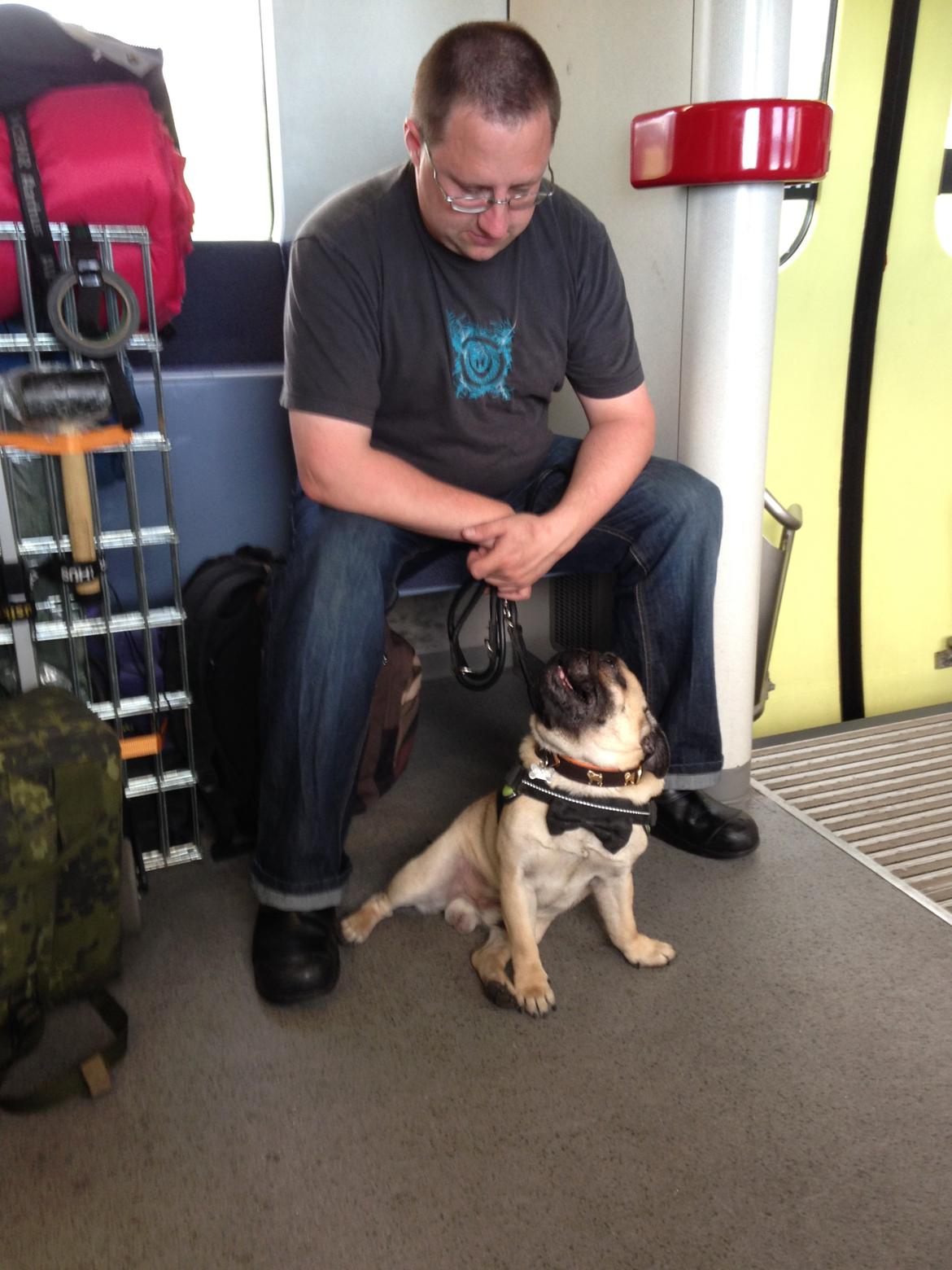 Mops Bobby Olsen billede 26