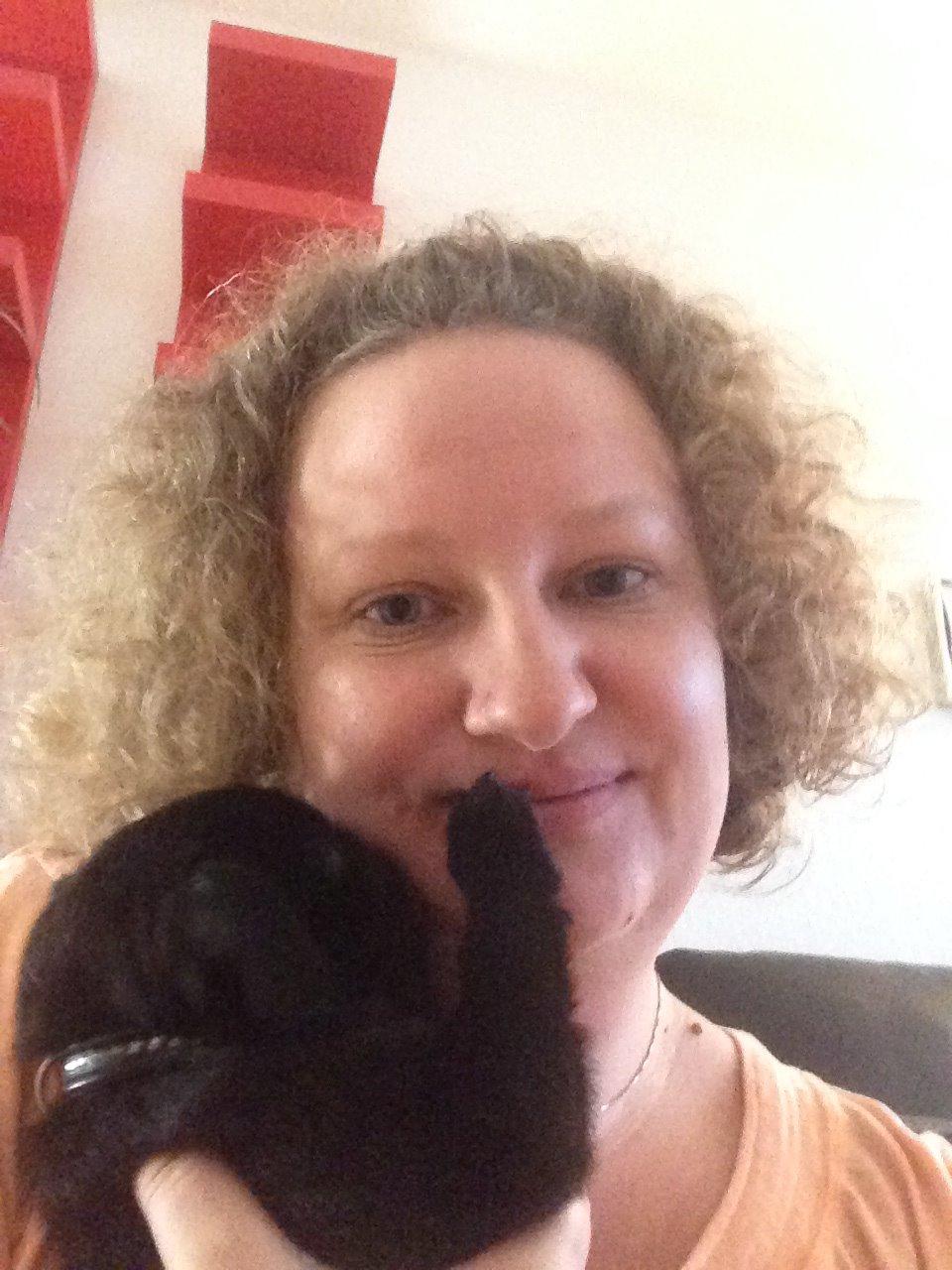 Mops Midas billede 23