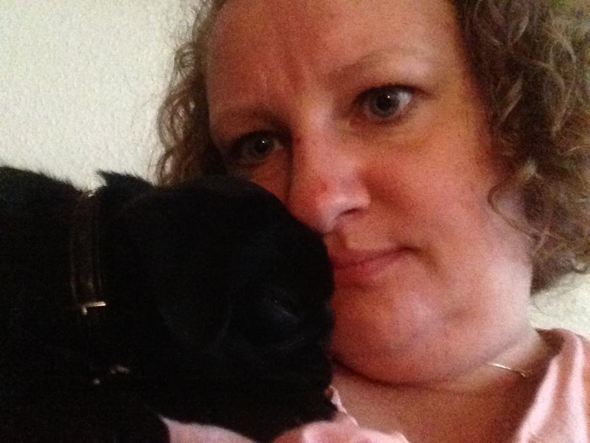 Mops Midas billede 36