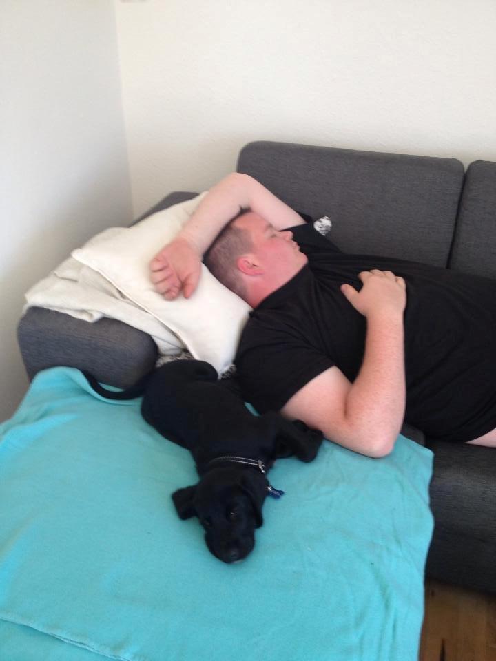 Blanding af racer UFFE billede 5