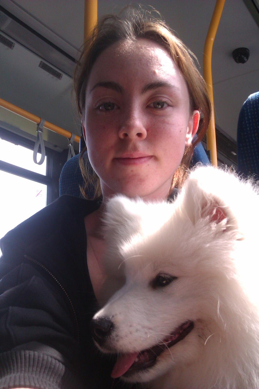 Samojedhund Whitespeciel's Blanc Bijou Raguel (Dexter) billede 34