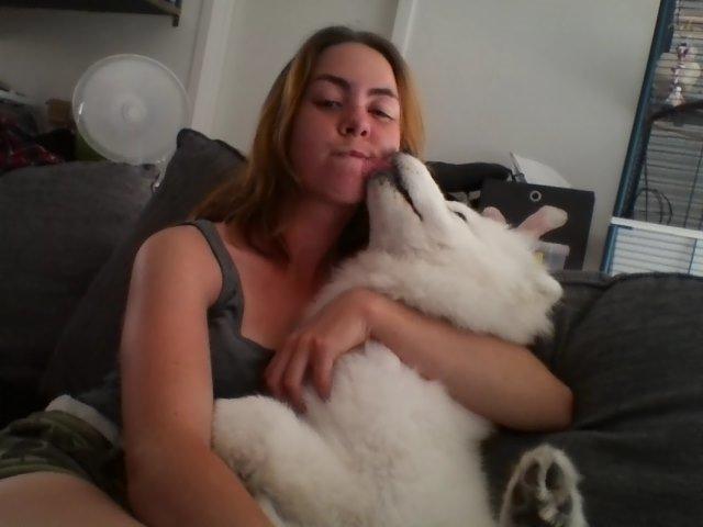 Samojedhund Whitespeciel's Blanc Bijou Raguel (Dexter) billede 43