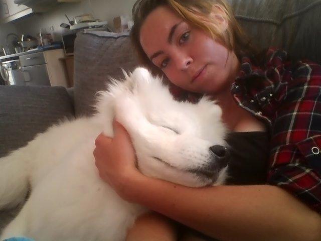 Samojedhund Whitespeciel's Blanc Bijou Raguel (Dexter) billede 24