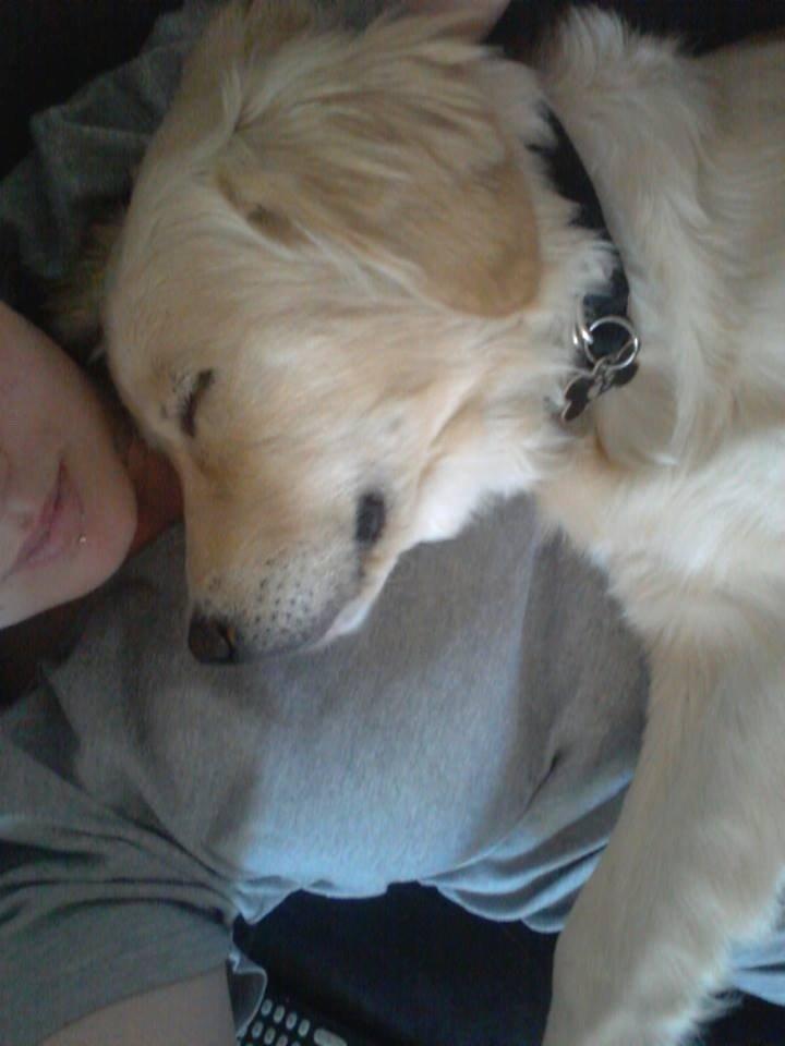 Blanding af racer joey billede 16