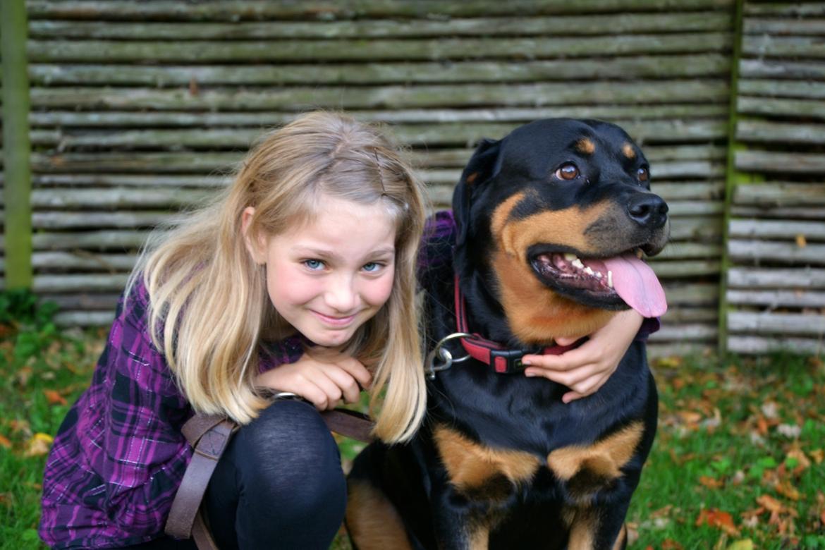 Rottweiler Kia - Min kusine og Kia <3 billede 2