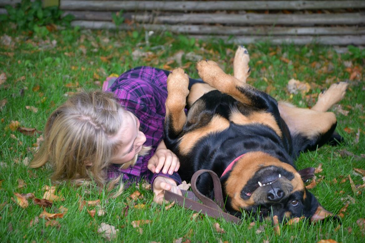 Rottweiler Kia - De hygger bare <3 billede 5
