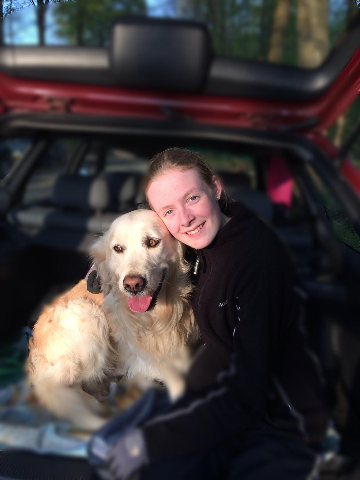 Golden retriever Baloo billede 23