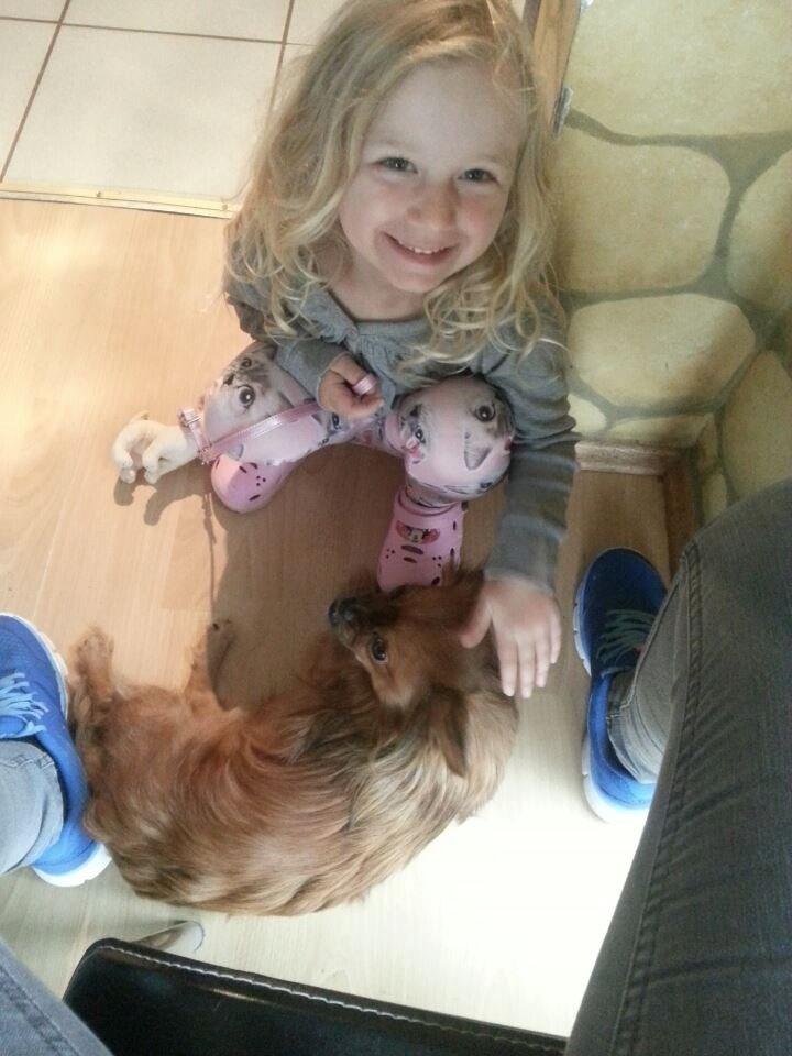 Blanding af racer Filou billede 3