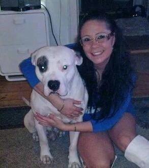 Amerikansk bulldog Ghetto Super Star* R.I.P billede 22