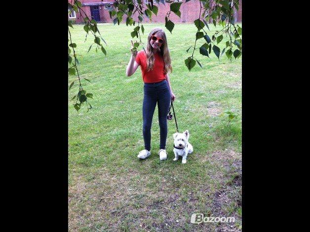 Blanding af racer Dina <3 -Prinsesse hunden- - Mig og Dina ;b #Vielskeratværeunormale! billede 2