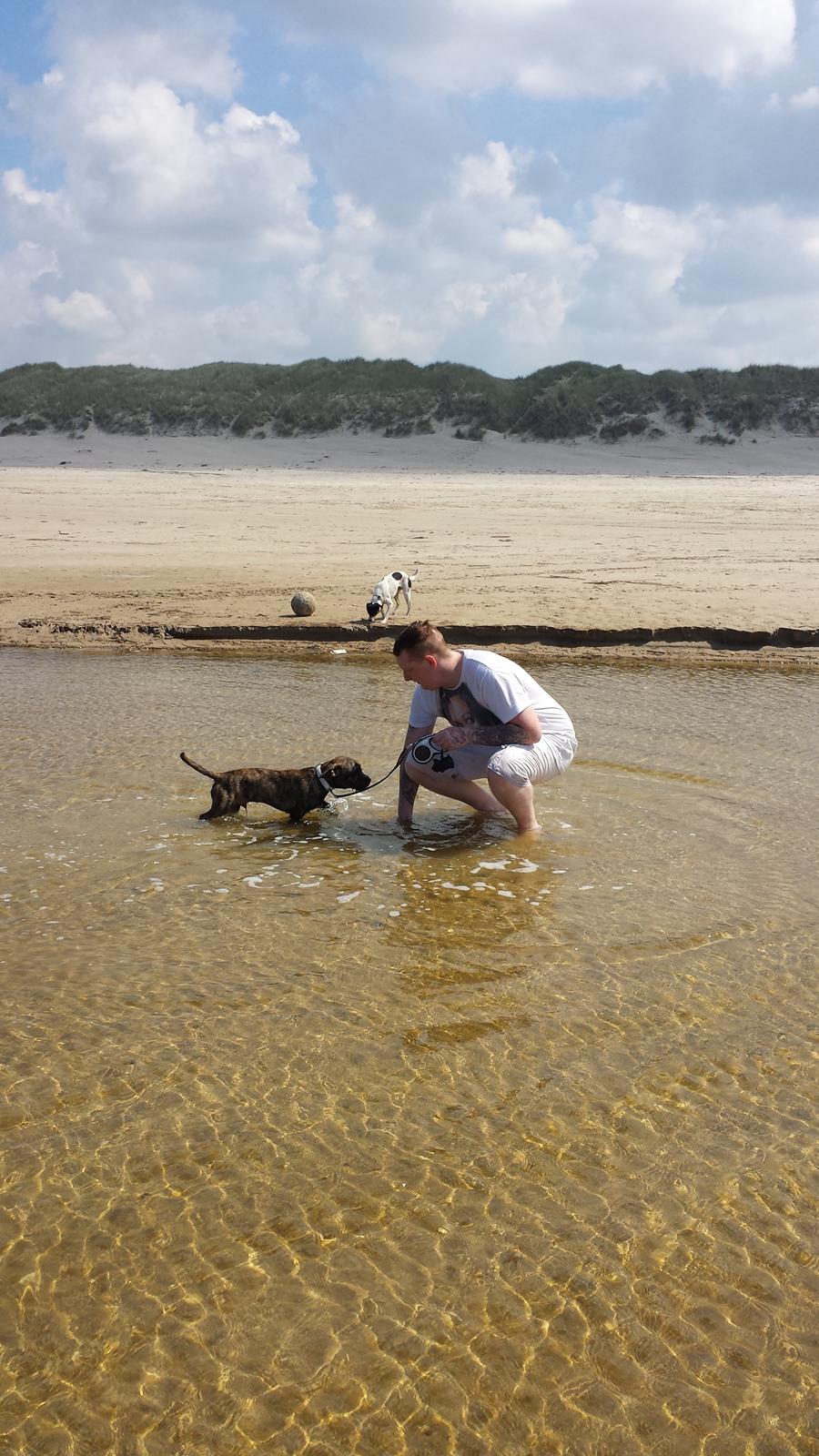 Blanding af racer Lille Roko billede 27