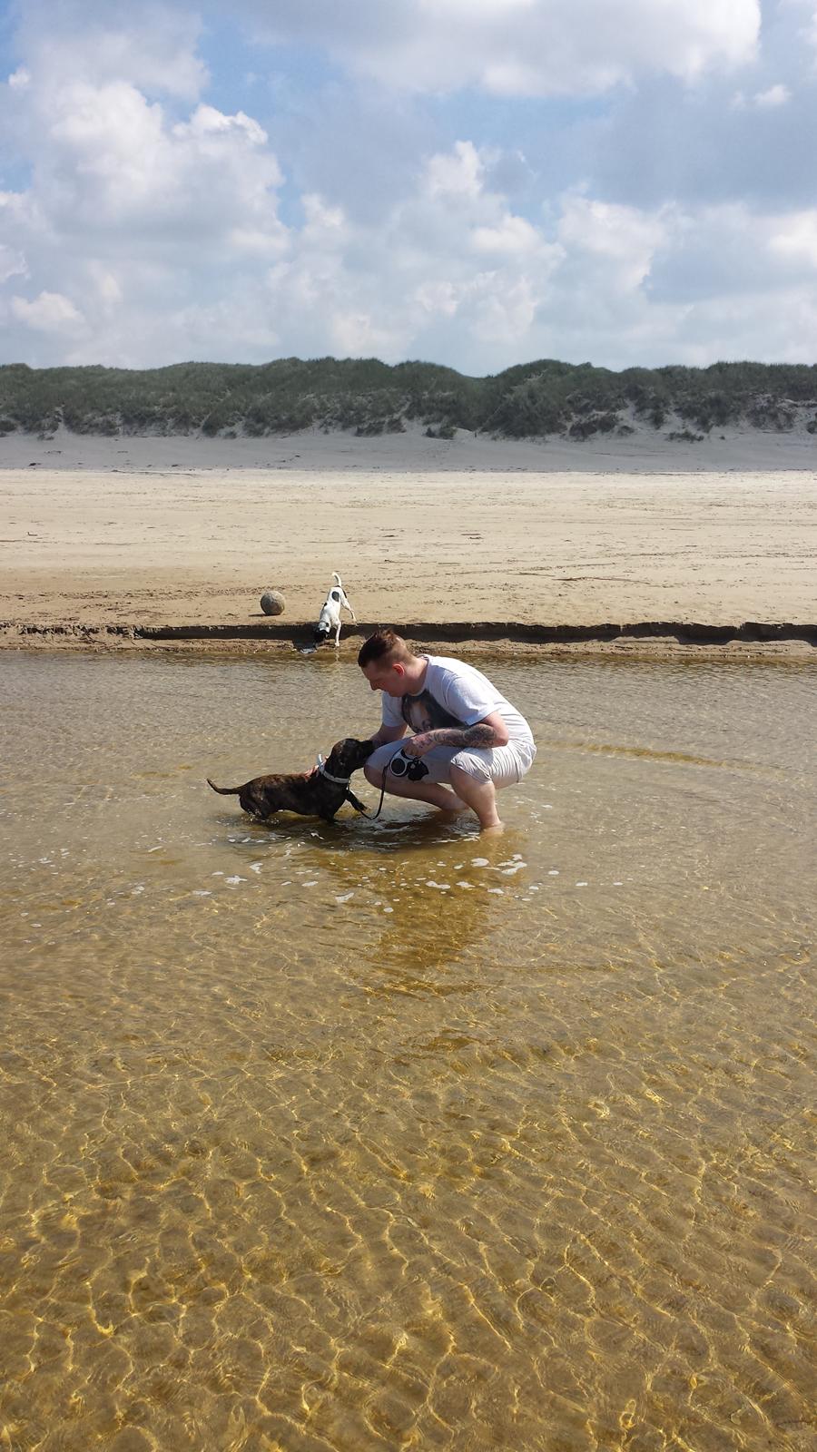 Blanding af racer Lille Roko billede 28