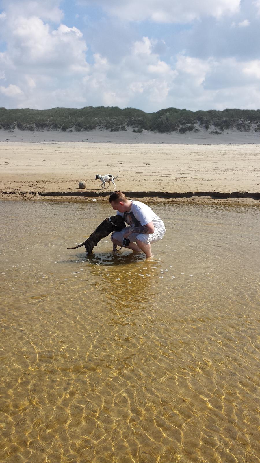 Blanding af racer Lille Roko billede 29