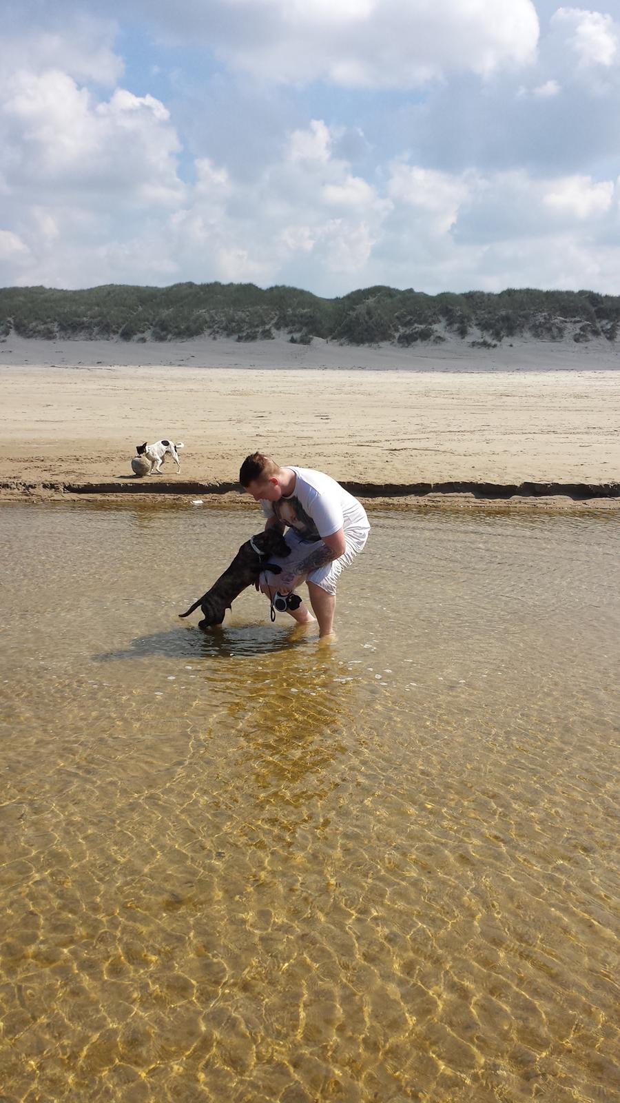 Blanding af racer Lille Roko billede 30