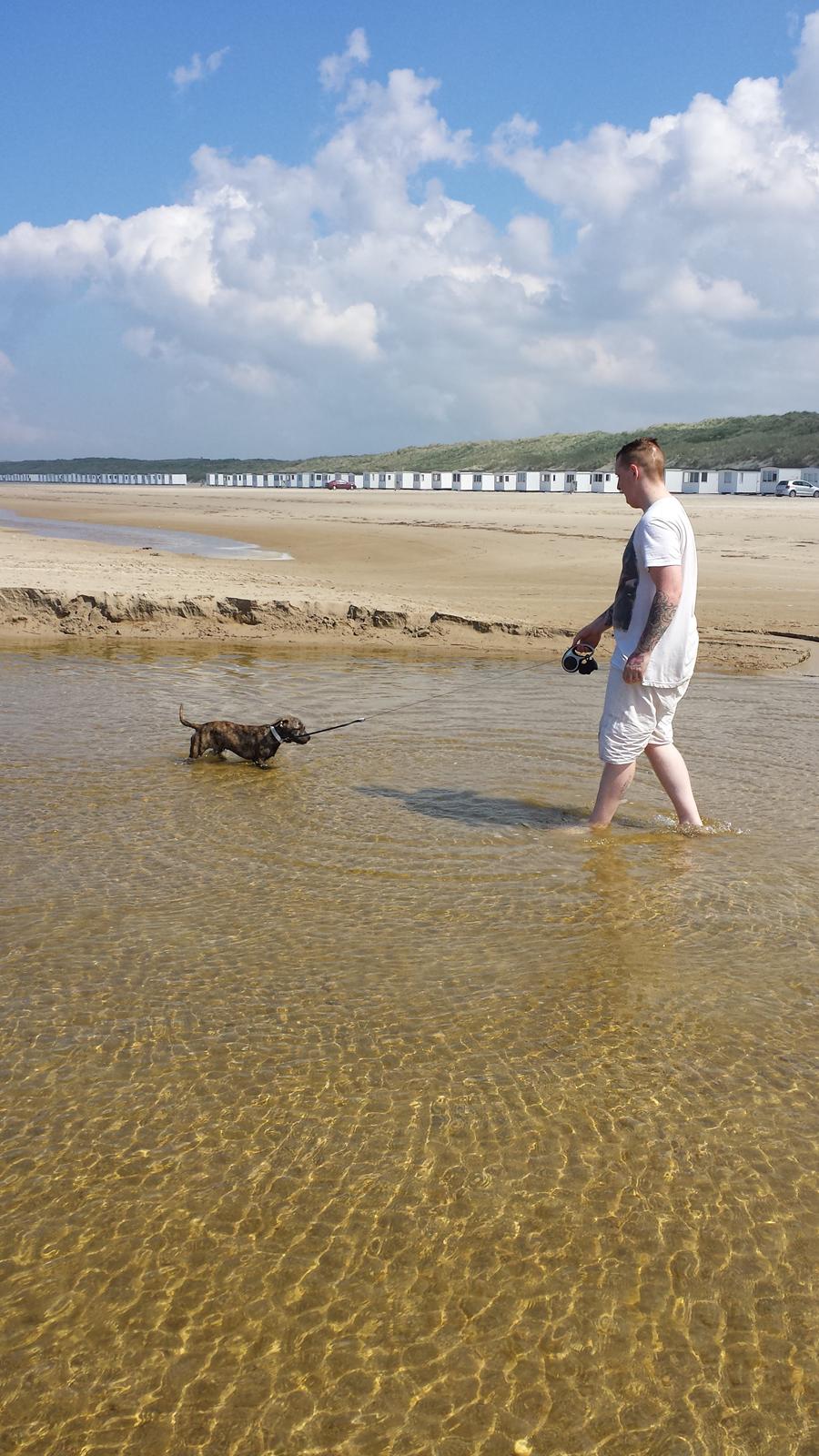 Blanding af racer Lille Roko billede 25