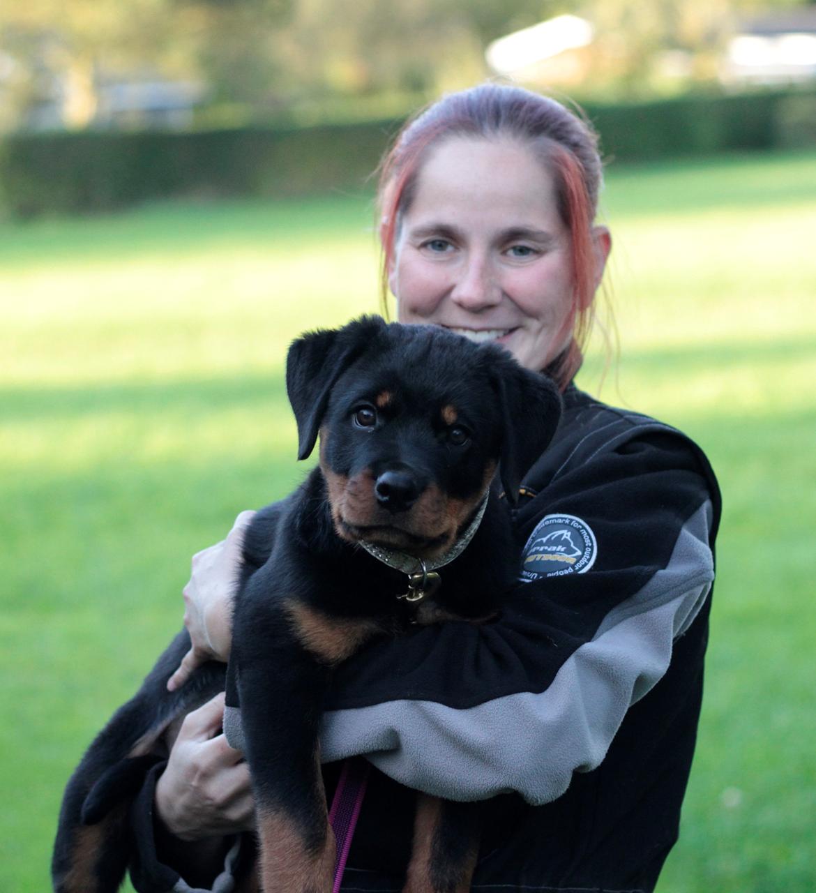 Rottweiler Yankee von der Alten Welt *Død* billede 4