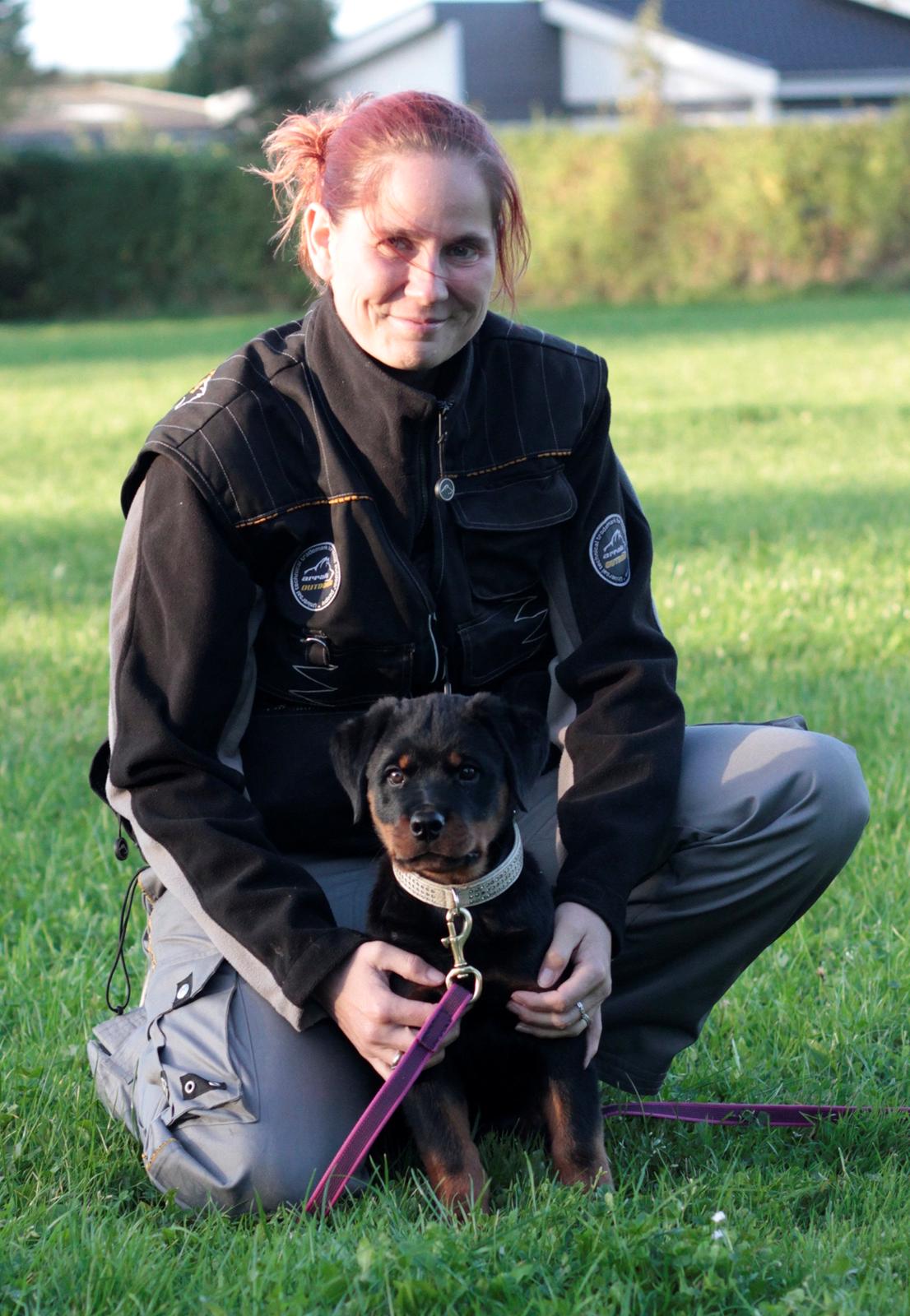 Rottweiler Yankee von der Alten Welt *Død* billede 5