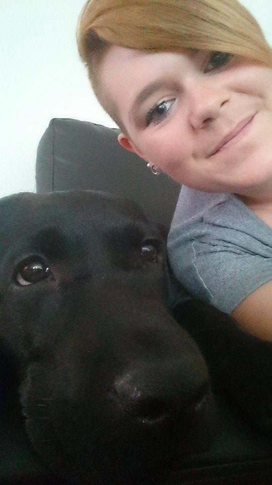 Labrador retriever Tyson SOLGT D. 6/11 - 2014  billede 29