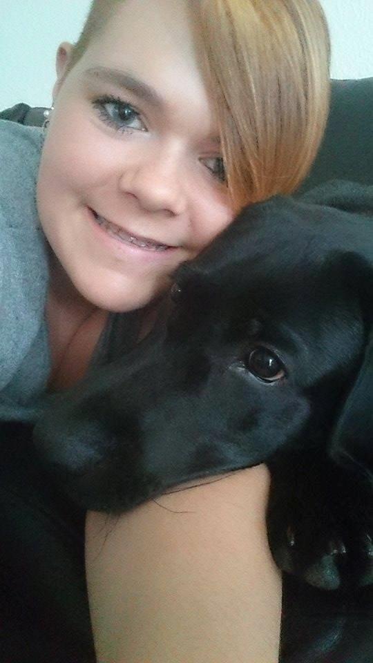 Labrador retriever Tyson SOLGT D. 6/11 - 2014  billede 30