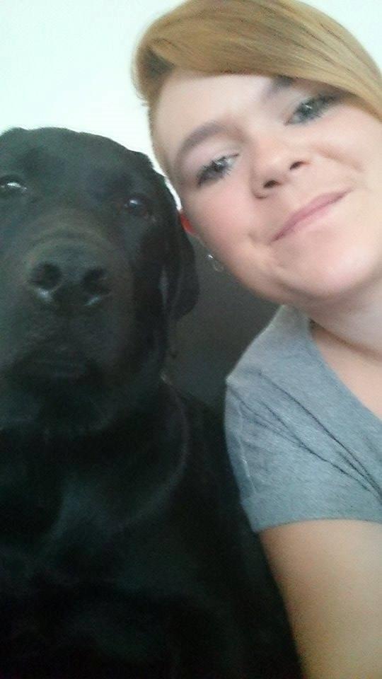 Labrador retriever Tyson SOLGT D. 6/11 - 2014  - Mors guldklump <3 billede 31