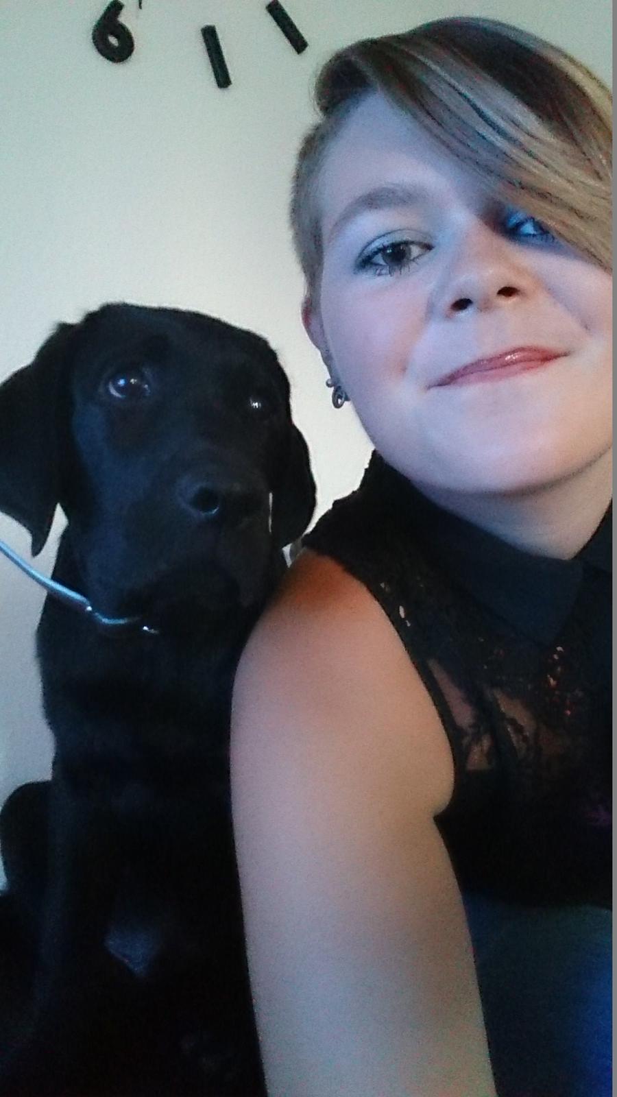 Labrador retriever Tyson SOLGT D. 6/11 - 2014  billede 37