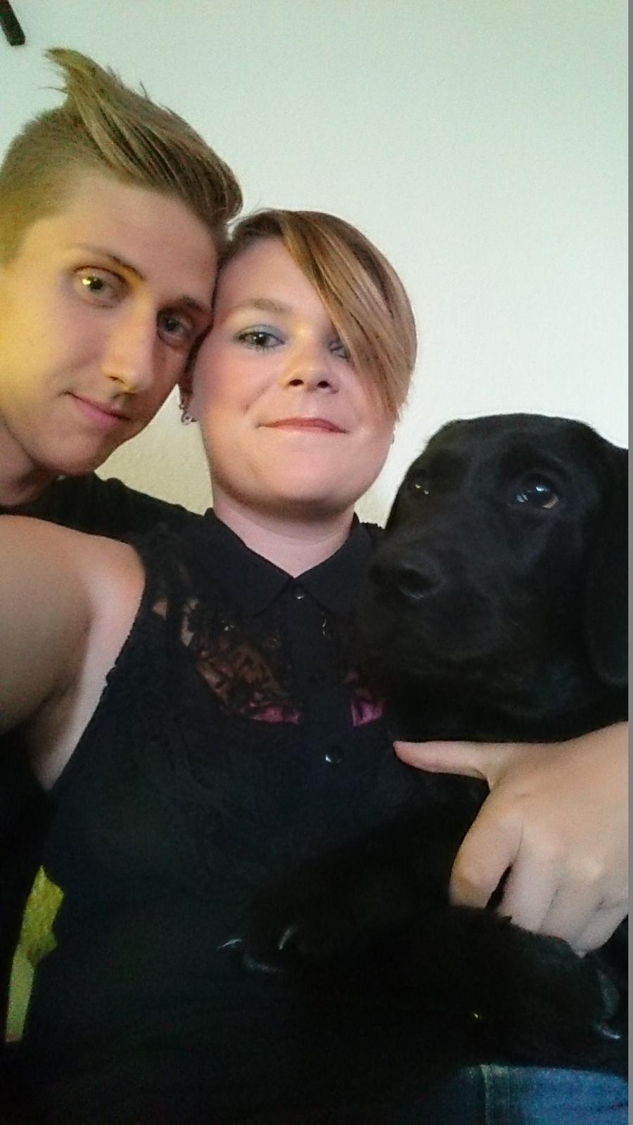 Labrador retriever Tyson SOLGT D. 6/11 - 2014  billede 38