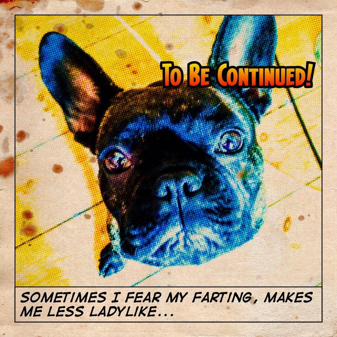 Fransk bulldog *Babette* billede 3