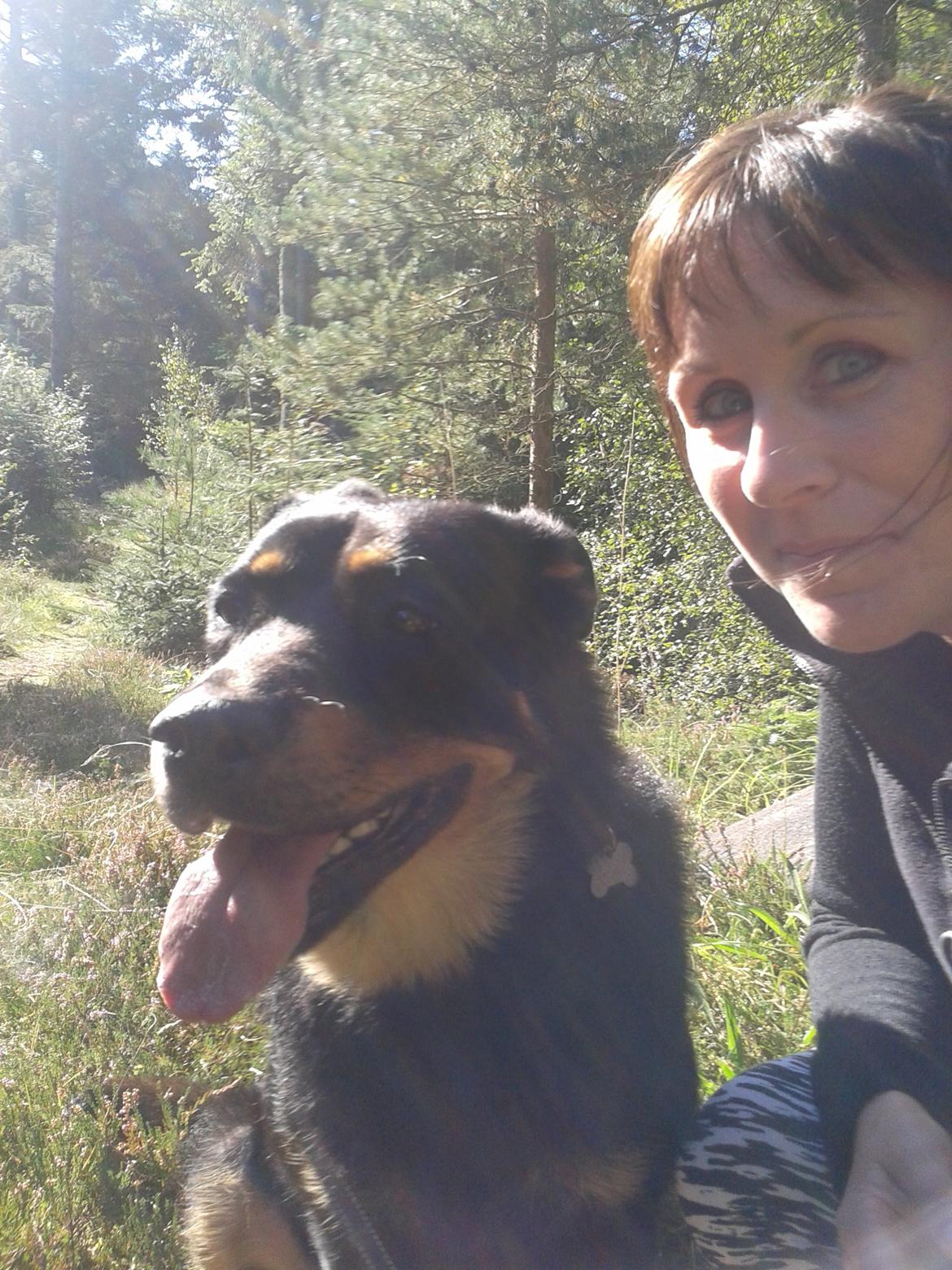 Blanding af racer Shiva billede 15