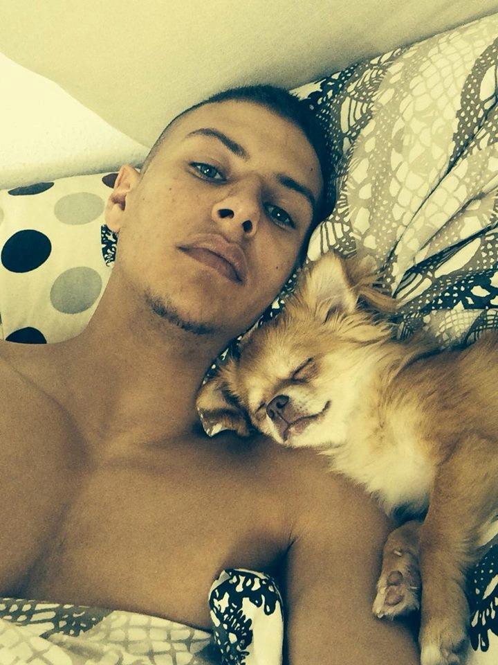 Chihuahua Fluffy Cute As A Teddy Bear /zako/ billede 6