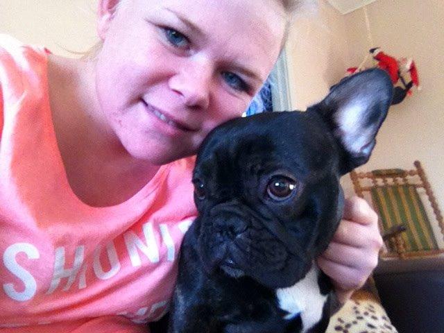 Fransk bulldog Abaldcans Le Bell billede 7