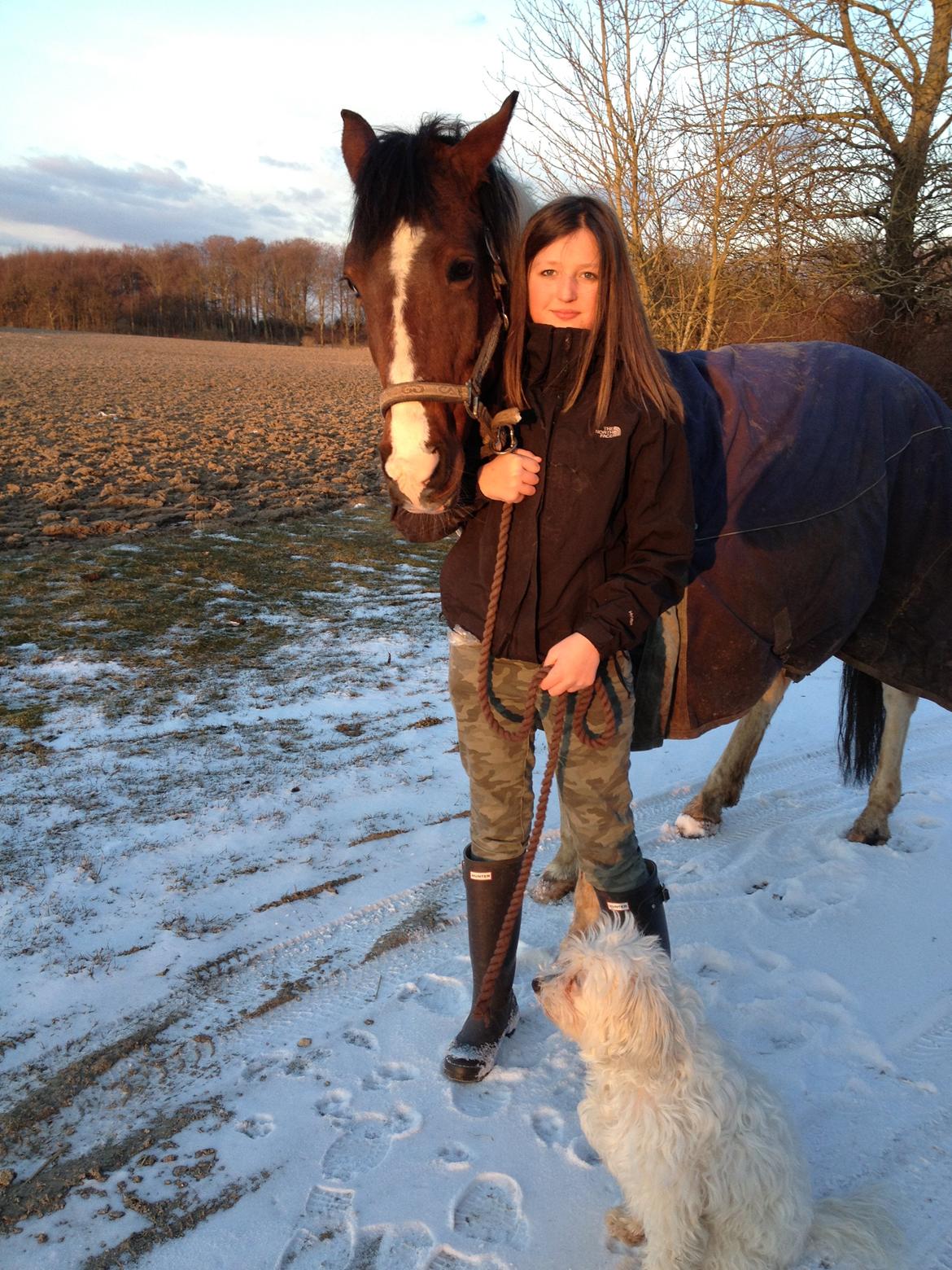 Blanding af racer Carla billede 10