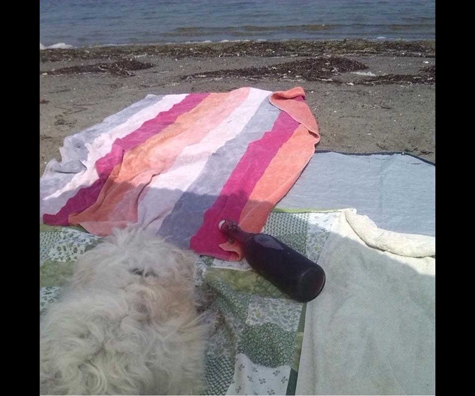 Blanding af racer Carla billede 16