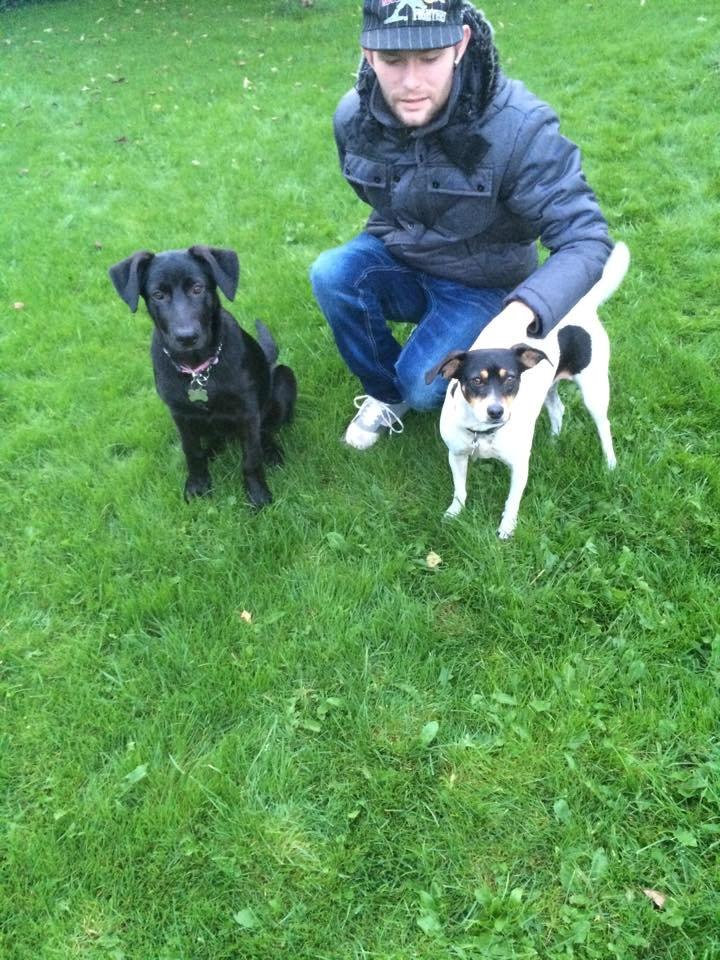 Blanding af racer Freya billede 13