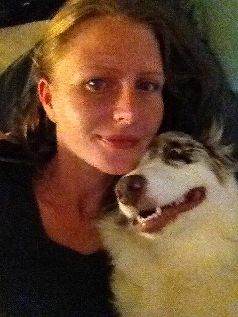 Australian shepherd Petra billede 10