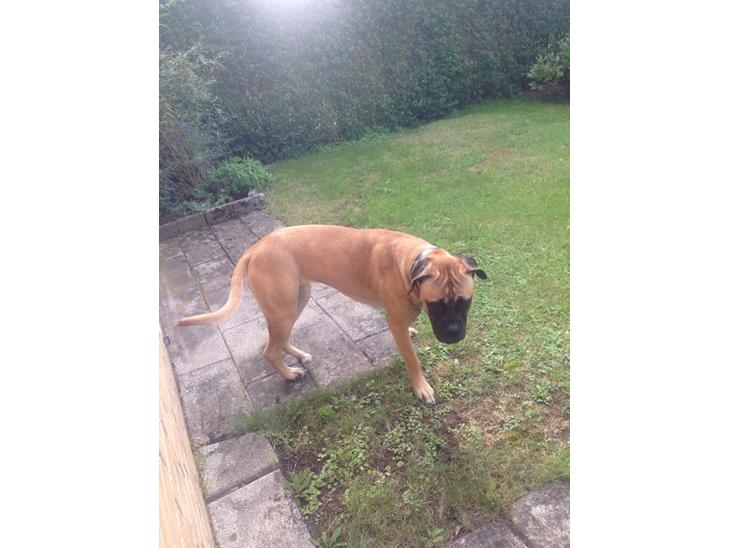 {{currentPhoto.altText}} billede {{currentPhoto.number}}