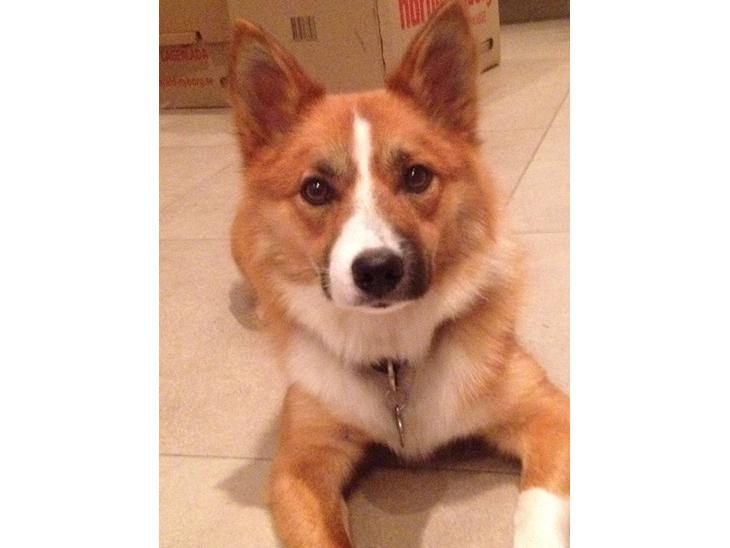 {{currentPhoto.altText}} billede {{currentPhoto.number}}