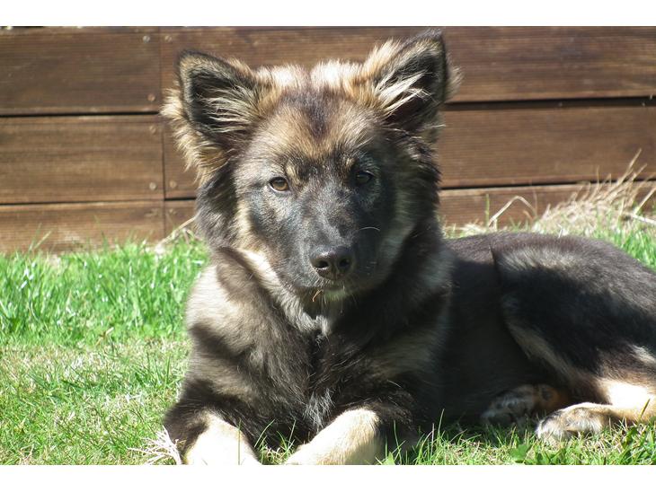 {{currentPhoto.altText}} billede {{currentPhoto.number}}