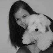 Coton de tulear Chanell