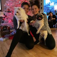 Volpino italiano Fulgencio Minick